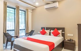 Orchid Platinum Reviews